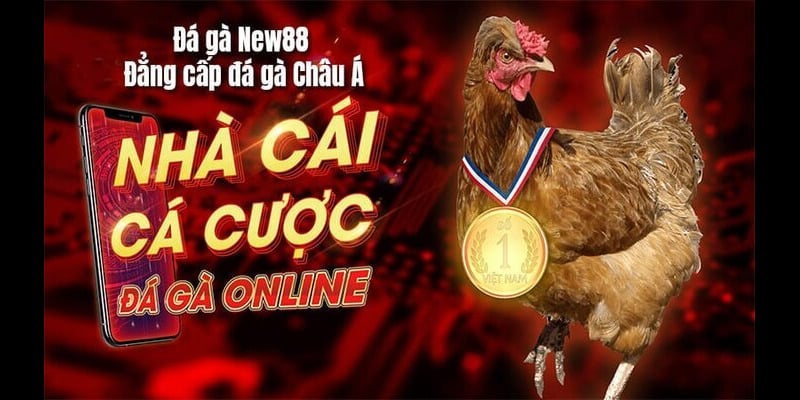 Các hình thức đá gà tại trang web New88