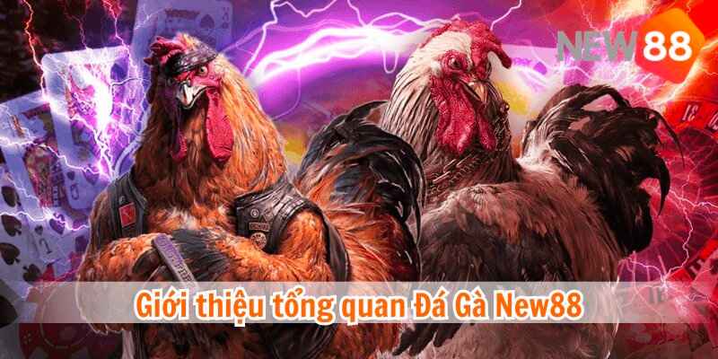 Giới thiệu về dịch vụ giải trí trực tuyến tại New88