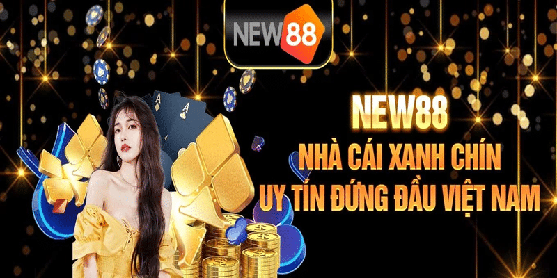Điều kiện điều khoản của New88 cam kết bảo mật thông tin cá nhân của các thành viên