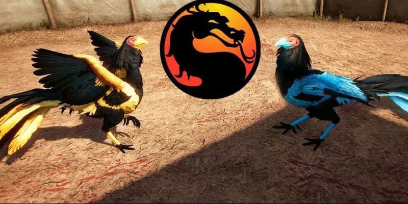 Tips chơi game đá gà hiệu quả