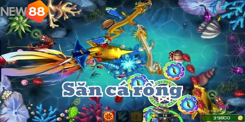 Tại sao game bắn cá rồng đổi thưởng tại New88 lại thu hút người chơi?