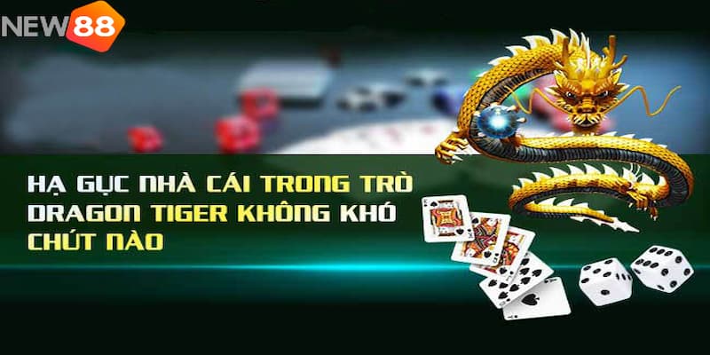 Bí quyết chơi rồng hổ online