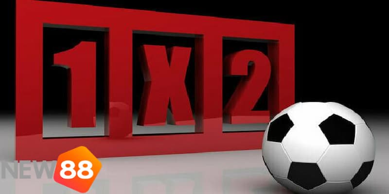 Giải thích về kèo nhà cái châu Âu là gì?