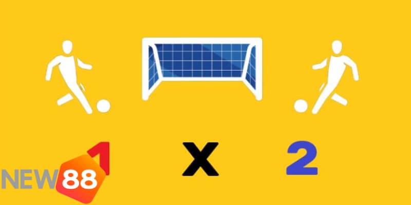 Hướng dẫn về cách đọc kèo nhà cái châu Âu chuẩn xác