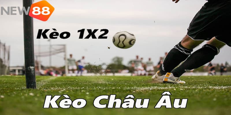 kinh nghiệm đánh kèo châu Âu Kèo châu Âu là gì?