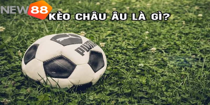 kinh nghiệm đánh kèo châu Âu Bật mí những kinh nghiệm đánh kèo châu Âu gia tăng cơ hội thắng