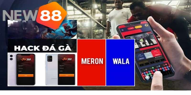 Đôi nét về phần mềm hack đá gà