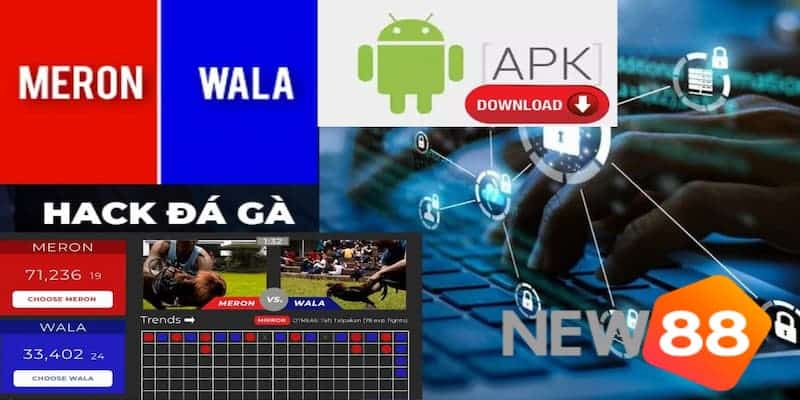 Lý do không nên sử dụng phần mềm hack đá gà