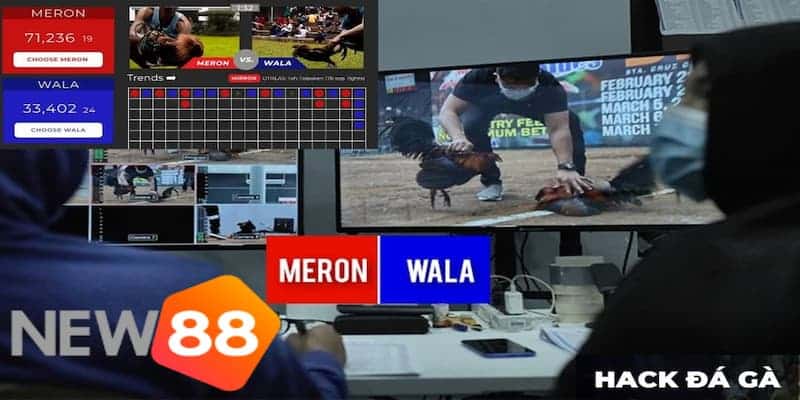 Câu hỏi thường gặp về phần mềm hack đá gà trực tuyến