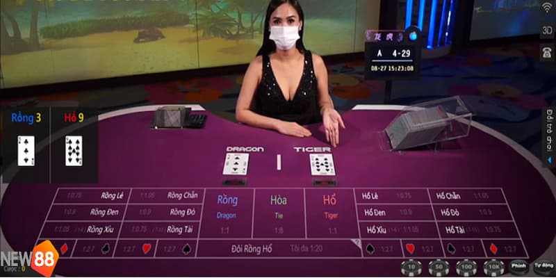 Tìm hiểu chi tiết về các hình thức cược trong rồng hổ online