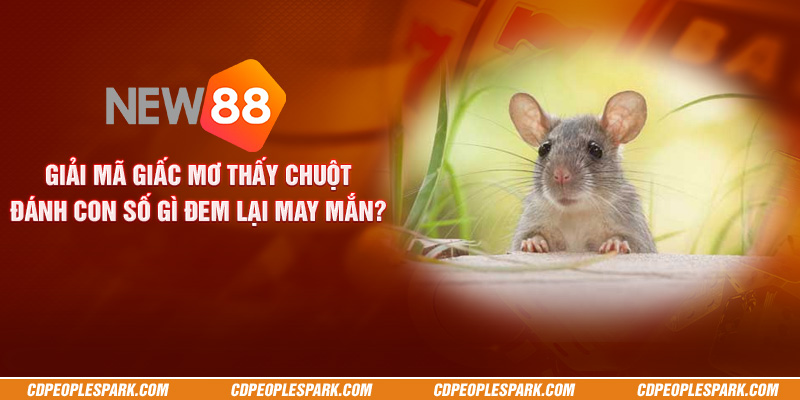 Giải mã nằm mơ thấy chuột - Đánh con số gì đem lại may mắn?