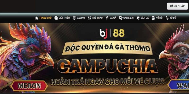 Giới thiệu về BJ88 điểm đến đặc biệt cho dân cược