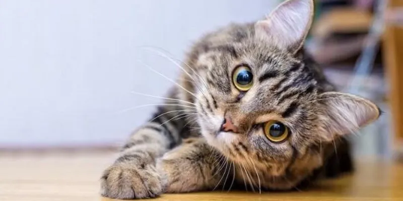 Một số con số có thể thử vận may khi nằm mơ trúng số