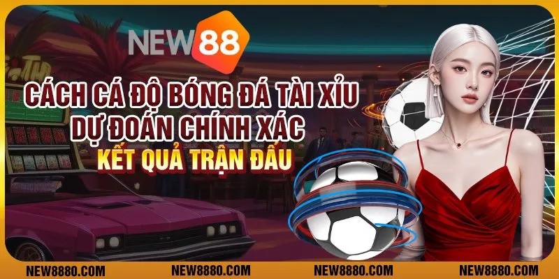 Cách cá độ bóng đá tài xỉu - Dự đoán chính xác kết quả trận đấu