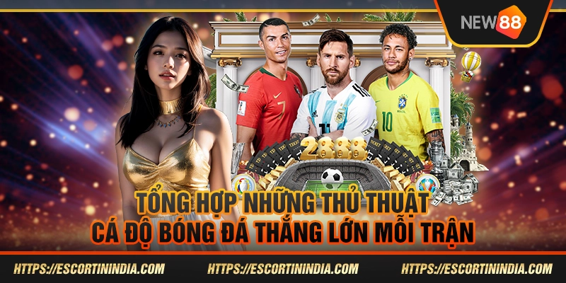 Tổng hợp những thủ thuật cá độ bóng đá thắng lớn mỗi trận