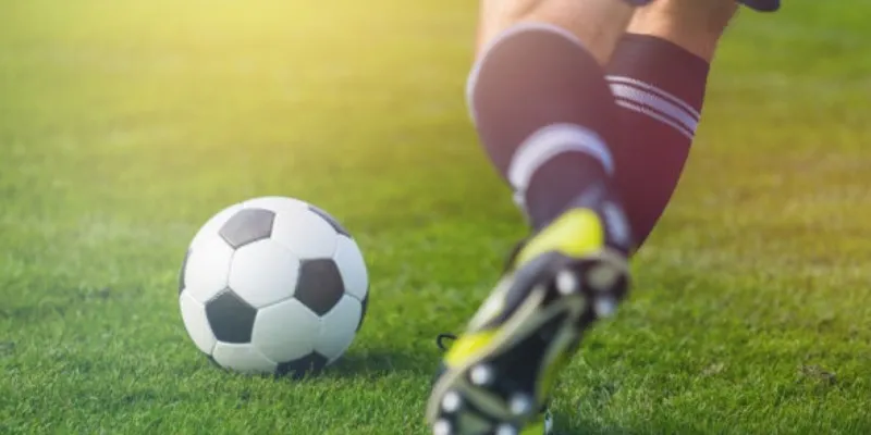 Chi tiết cách xem kèo rung chuẩn xác nhất