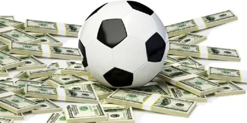 Những cập nhật mới nhất về luật cá cược bóng đá năm 2024