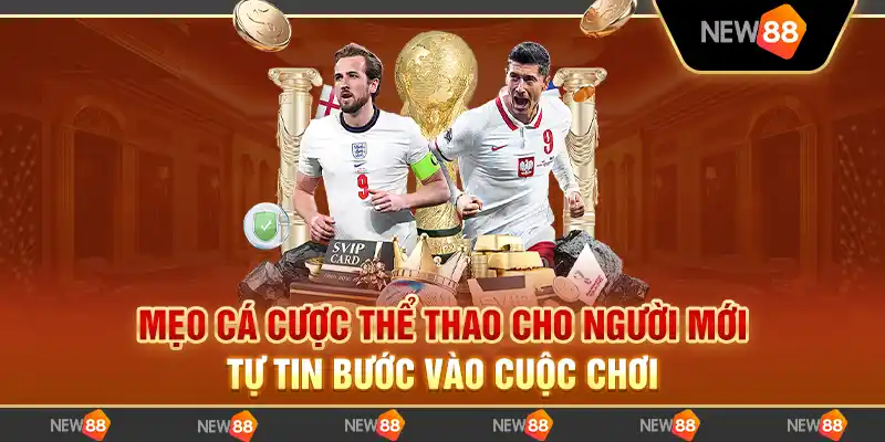 Mẹo cá cược thể thao cho người mới - Tự tin bước vào cuộc chơi