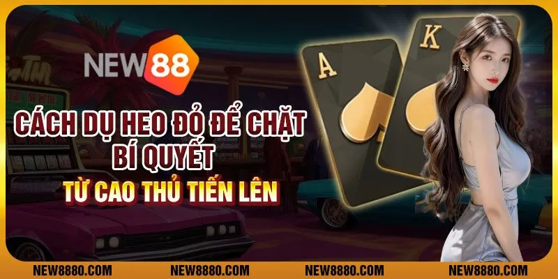 Cách dụ heo đỏ để chặt – Bí quyết từ cao thủ Tiến Lên