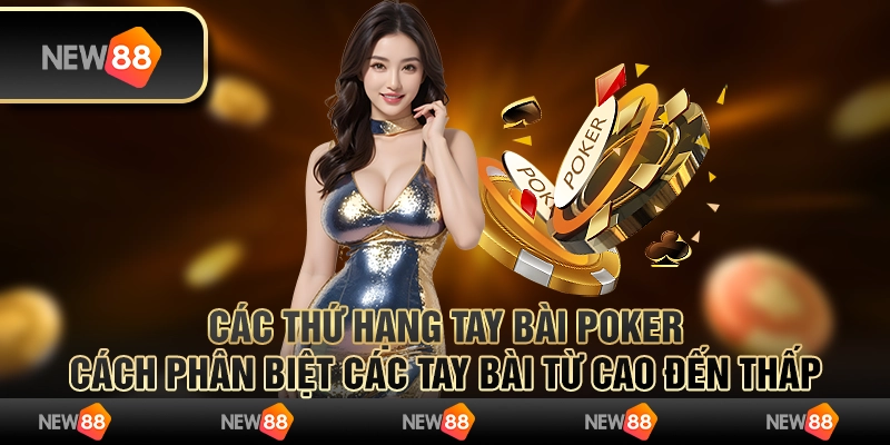 Các thứ hạng tay bài poker: Cách phân biệt các tay bài từ cao đến thấp