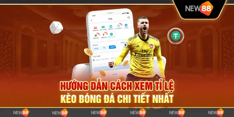 Hướng dẫn cách xem tỷ lệ kèo bóng đá chi tiết nhất