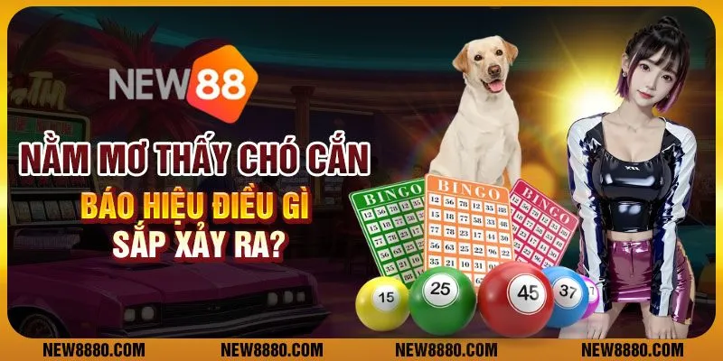 Nằm mơ thấy chó cắn - Báo hiệu điều gì sắp xảy ra?