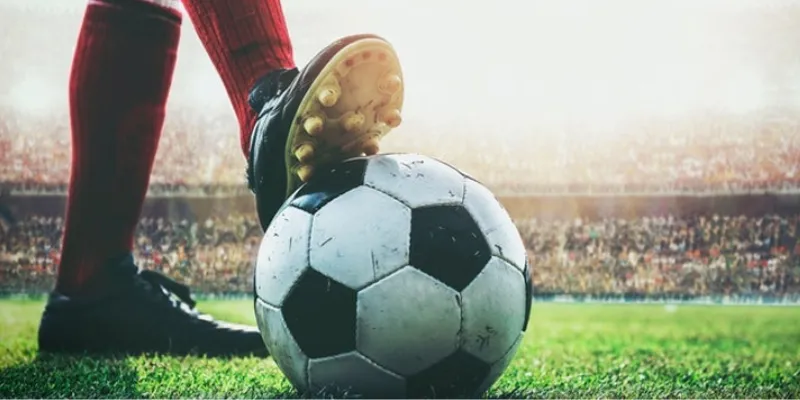 Mẹo đặt kèo rung chính xác nhất tại New88