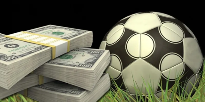 Cách đọc và hiểu tỷ lệ cược cùng các loại cược cơ bản