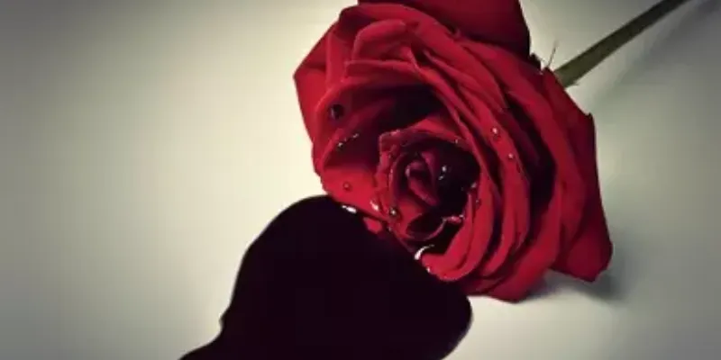 Bạn nên đánh con số lô đề nào nếu mơ thấy máu chảy?