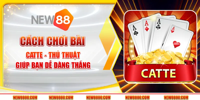 Cách chơi bài Catte - Thủ thuật giúp bạn dễ dàng thắng