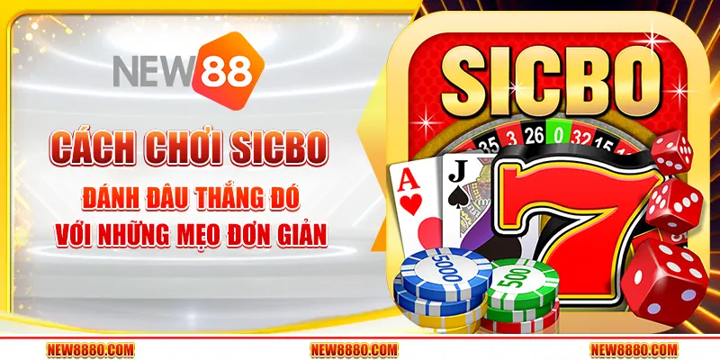 Cách chơi Sicbo - Đánh đâu thắng đó với những mẹo đơn giản