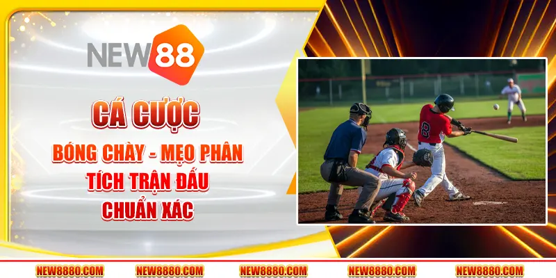 Cá cược bóng chày tại New88: Mẹo phân tích trận đấu chuẩn xác