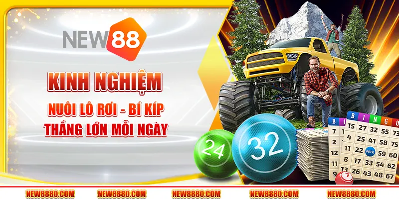 Kinh nghiệm nuôi lô rơi - Bí kíp thắng lớn mỗi ngày
