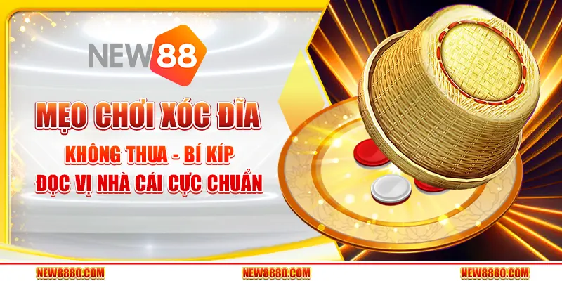 Mẹo chơi xóc đĩa không thua - Bí kíp đọc vị nhà cái cực chuẩn