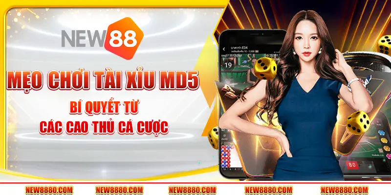 Mẹo chơi tài xỉu MD5: Bí quyết từ các cao thủ cá cược