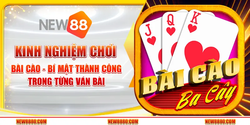 Kinh Nghiệm Chơi Bài Cào - Bí Mật Thành Công Trong Từng Ván Bài