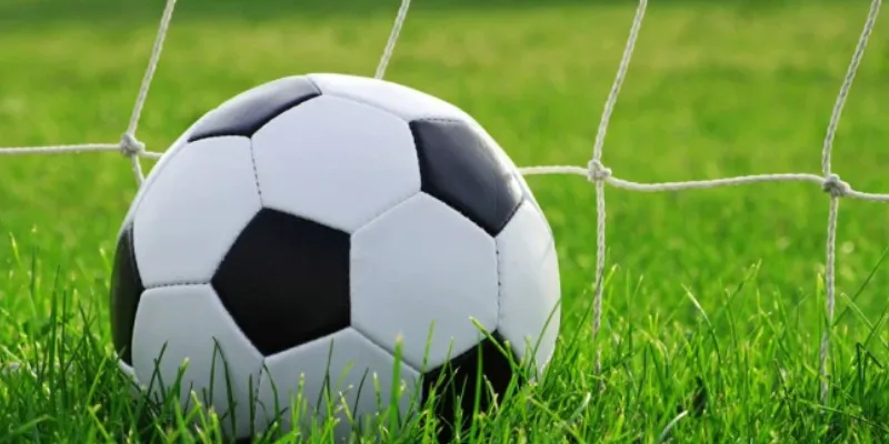 Chia sẻ kinh nghiệm cá cược với kèo thua một nửa tại New88