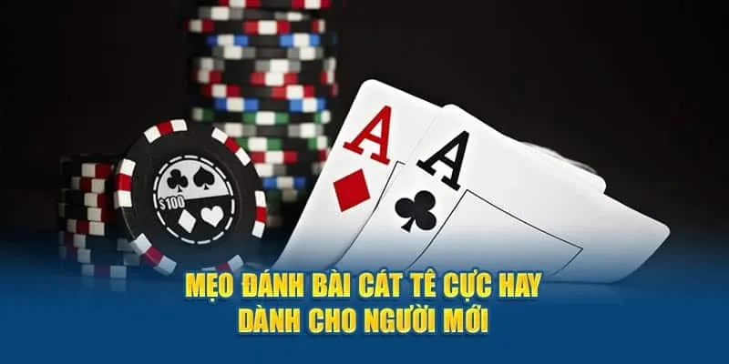 Thông tin sơ bộ về từ bộ môn catte tại sảnh game New88 