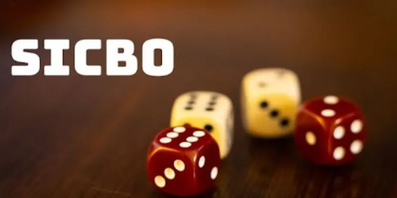 Mẹo chơi Sicbo thông minh để cải thiện tỷ lệ chiến thắng