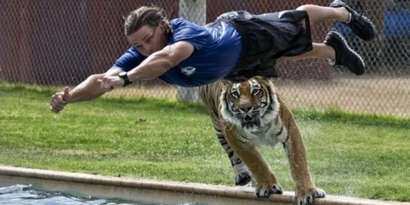 Mơ thấy bị động vật đuổi bắt