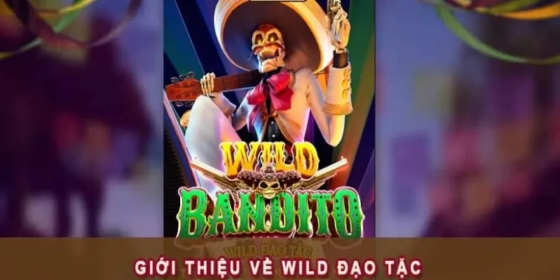 Tổng hợp thông tin về tựa game Wild Đạo Tặc