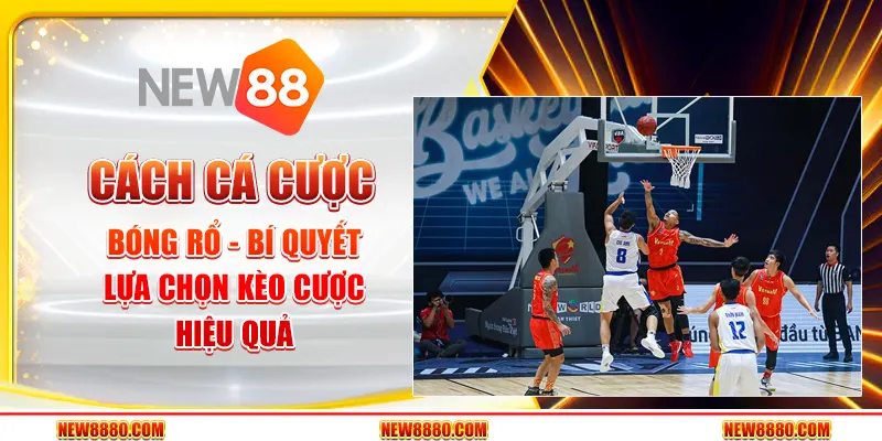 Cách cá cược bóng rổ - Bí quyết lựa chọn kèo cược hiệu quả