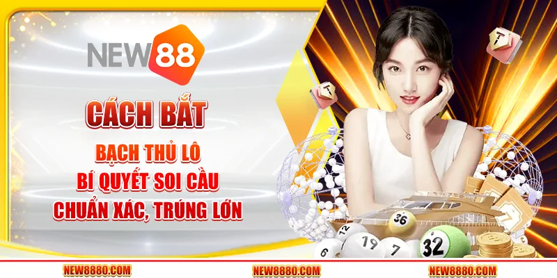 Cách bắt bạch thủ lô - Bí quyết soi cầu chuẩn xác, trúng lớn