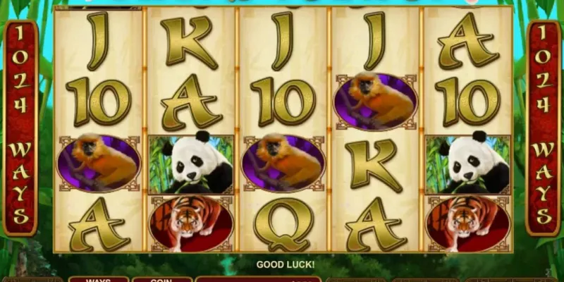 Chia sẻ kinh nghiệm quý báu khi chơi Lucky Panda