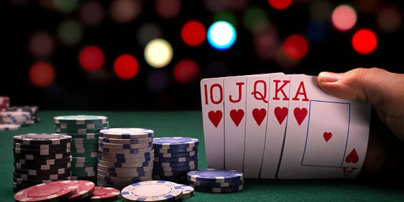 Khám phá các thuật ngữ thường dùng trong bài Cào