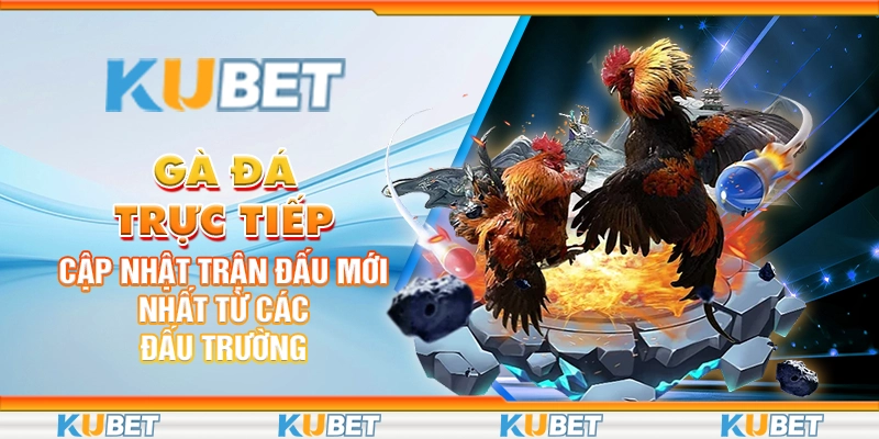 đá gà cựa sắt