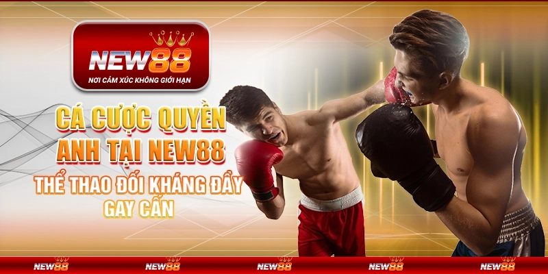 Cá cược quyền anh tại New88 – Thể thao đối kháng đầy gay cấn