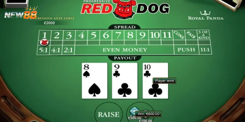 Chiến thuật chơi Red Dog Poker giúp thắng lớn