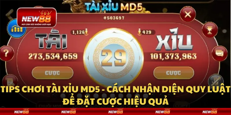 Tips chơi tài xỉu MD5 - Cách nhận diện quy luật để đặt cược hiệu quả