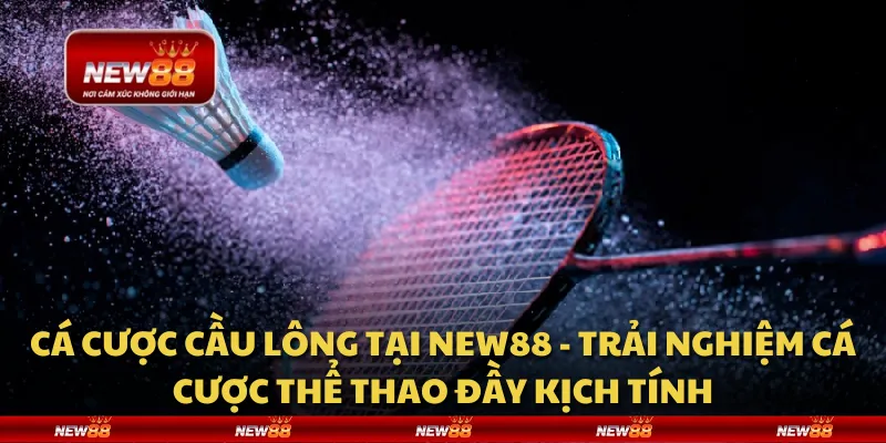 Cá cược cầu lông tại New88 - Trải nghiệm cá cược thể thao đầy kịch tính